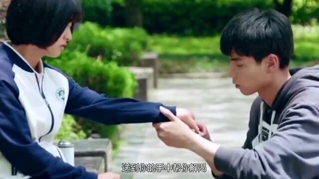在沙漠中取水的原理是什么？